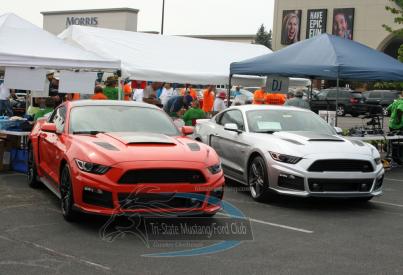 Tristate Mustang Club Show 2015 19