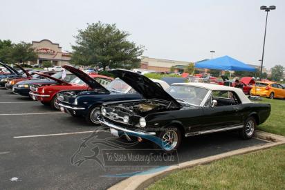 Tristate Mustang Club Show 2015 22