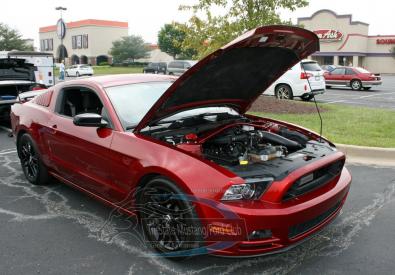 Tristate Mustang Club Show 2015 44  